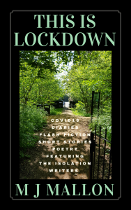 This is Lockdown by Author M J Mallon